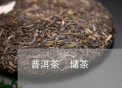 普洱茶 储茶/2023042943902